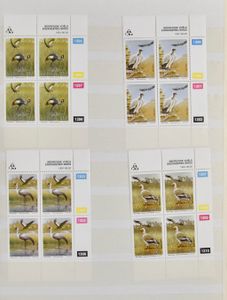 Afrique du Sud, pays d'origine, stock de Venda et Transkei en 3 classeurs, presque tous avec des bordures de feuilles ou en blocs de coin de 4, tb 