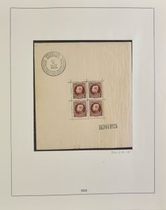 1924/1970 Verzameling blokken en boekjes in Lindner album w.o. BL 1 *, BL 3 **, BL 4 *, BL 27/28 **, BL 30 **, BL 31 **, zm/m