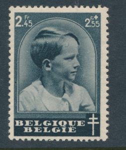 N° 446-V1, 