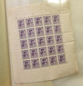 1921/1991 Enorme voorraad in 5 dikke vellenmappen, waarbij veel vellen en veldelen, interessant voor plaatfouten, zm/m/ntz (Hoge cataloguswaarde)