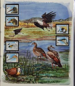Vogels, 