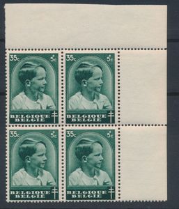 N° 440-V, 