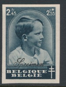 N° 446 