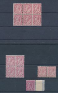 N° 46 