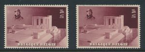 N° 456A-V, 2 Luppi variëteiten 1 en 2, zm