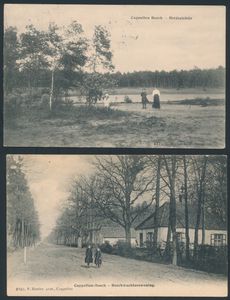 Kapellen-Bos, Hoelen, Boswachterswoning (n° 3701) en Heidezicht (n° 6771) (Totaal: 2 stuks)