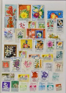 Collection of flowers in album, from Cuba, the Philippines, the Moluccas, etc., in album, very fine/fine