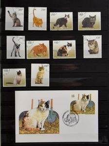 Katten, verzameling in insteekboek, met zegels, blokken, ZK en telecards, zm