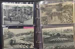 1913 Gent, zeer mooie samenstelling in 3 albums + 1 album floraliën (+600 stuks)