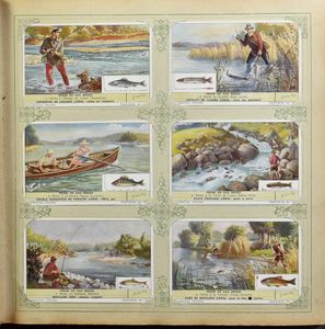 4 albums, with some better modern sets + loose (Thousands of items)