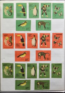 MATCHBOX LABELS: Classified by country in 6 folders