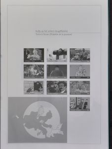 2011 Complete annual set of ministerial sheets, incl. Tintin, vf (OBP €2,540)