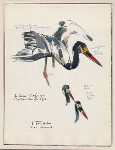 N° 494 ‘Protected birds - 20fr. jabiru’, watercolour design of the bird and 2x study of the head, with comments by the author J. Van Noten, vf