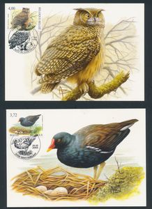 1988/2007 Accumulation of 34 maximum cards, vf