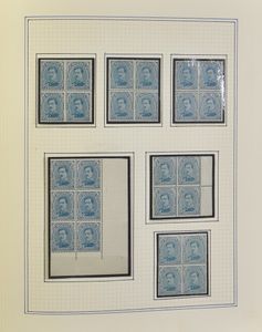 1915 and Houyoux issue, collection with colour shades, margin inscriptions, blocks of four, field parts curiosities in 2 stockbooks, vf/f/to be checked