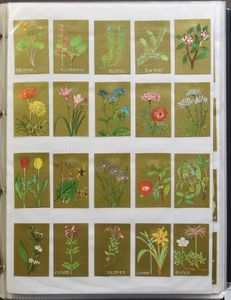 MATCHBOX LABELS: in 7 binders/folders