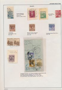 Beautiful collection on album leaves with rare material, including high values such as 