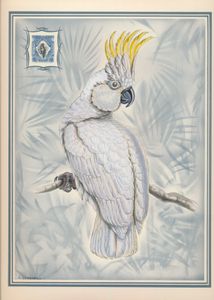 Birds: Large format print after J. Gould (1848) with offset impression of North Borneo stamp 