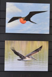 1965/2021 Collection/stock in 3 stockbooks with many blocks, sheetlets, etc., many valid for postage, vf