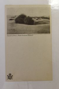 W.O. I: Stationery, large format cards, diptychs and triptychs