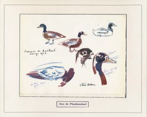 N° 489 ‘Protected birds - 5fr. Hartlaub's ducks’, watercolour design, various illustrations on cardboard, with comments and signature by the author J. Van Noten, vf