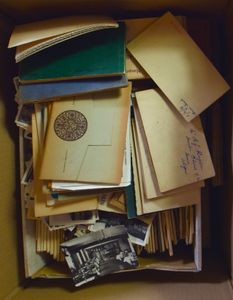 Snapshots and picture postcards, in 2 boxes (Total: +550 items)