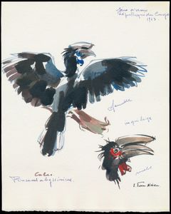 N° 491 ‘Protected birds - 7fr. Hornbill’, design in watercolour, with comments and signature by the author J. Van Noten, vf