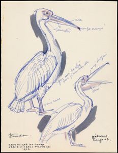 N° 481 ‘Protected birds - 10c. pelican’, design in watercolour, with comments by the author J. Van Noten + signature, on thick cardboard + souvenir sheet of 16 of the adopted stamp, vf
