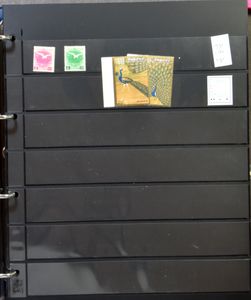 Davo, 52 empty albums with 4 rings, with covers, fauna type, many with black sheets, Cosmos or Prinz type