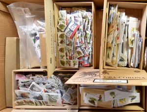 Modern period on fragment, with many Buzin sorted in cigar boxes, f/to be checked