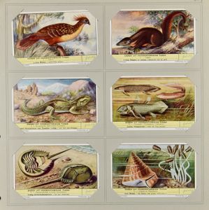 Divers, 3 albums complets, en très bon état, à la fois des cartes et des livres