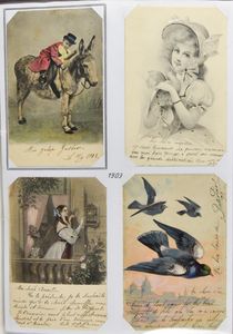 Fauna - Diverse onderwerpen (geen duiven), mooie samenstellingen (294 stuks)