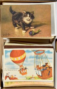 Katten, mooi lot, alle oudere (+/-200 stuks)