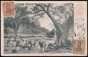 1909 Courrier entrant vers le Congo belge, de Cordoba en Argentine (30/08/1909) vers Boma (16/10/1909) puis transmis à Silvi Marina/Italie, erreur de l'expéditeur 
