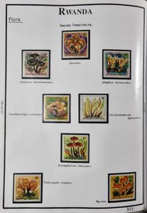 1967/1991 Nicely arranged collection in album on self-made sheets, a lot of themes, vf
