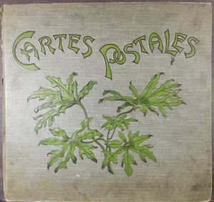 Diverse onderwerpen met betere kaarten in oud album (+/-984 stuks)