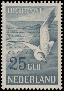 N° 12/13 