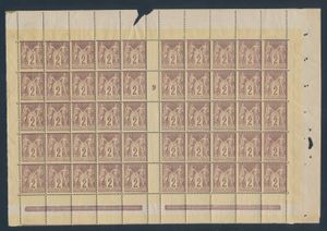 N° 85 (50x) Sage type 2 