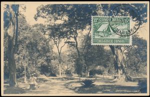 1931, photographical picture postcard franked by 