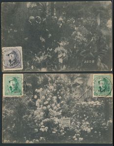 Antwerp Floralies 1920, quality ntz (8 items)