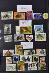 Accumulation of various subjects in 2 stockbooks, vf/f