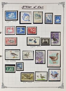 Birds, accumulation various countries in ring classur, including Belgium (Buzin), grouped by species (+ something France), vf/f