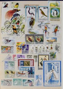 Diverse, Vogels, ruimtevaart, Zuidpool, sport, samenstelling in 2 insteekboeken, zm/m